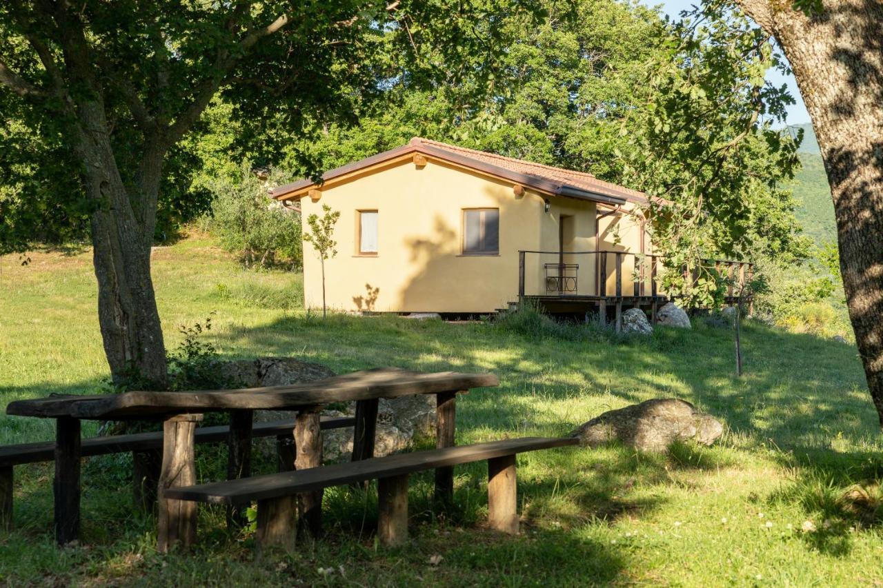 Bed And Breakfast Le Pianore Чиниджиано Экстерьер фото